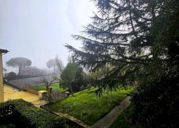 giardino - Casa indipendente Pietro Perugino, Perugia - foto 33