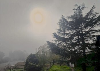 giardino - Casa indipendente Pietro Perugino, Perugia - foto 50