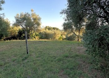 giardino - Casa semi indipendente di Vallerano, Rignano Flaminio - foto 17