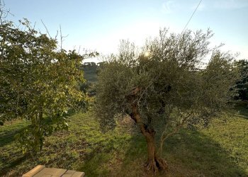 giardino - Casa semi indipendente di Vallerano, Rignano Flaminio - foto 19