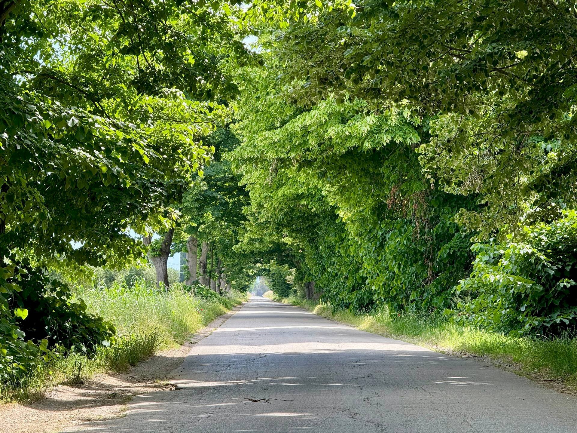 Foto 1 - Appartamento Strada Vicinale 36 San Donato, Orbetello - foto 1