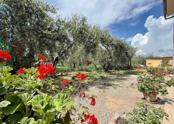 Foto 15 - Appartamento Strada Vicinale 36 San Donato, Orbetello - foto 15