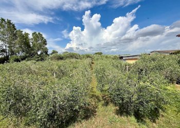 Foto 17 - Appartamento Strada Vicinale 36 San Donato, Orbetello - foto 17