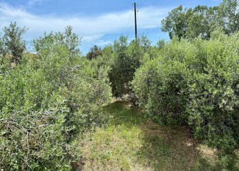 Foto 18 - Appartamento Strada Vicinale 36 San Donato, Orbetello - foto 18