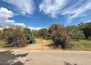 Foto 20 - Appartamento Strada Vicinale 36 San Donato, Orbetello - foto 20