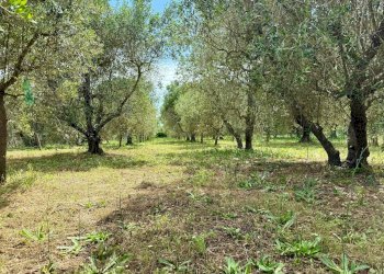 Foto 21 - Appartamento Strada Vicinale 36 San Donato, Orbetello - foto 21