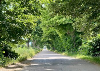 Foto 1 - Appartamento Strada Vicinale 36 San Donato, Orbetello - foto 1