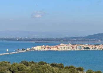 Foto 2 - Attività Commerciale Via Donatori del Sangue, Orbetello - foto 2