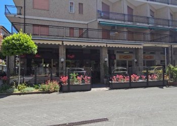 Zona - Bar Tavola Calda - Fredda Andora - foto 6