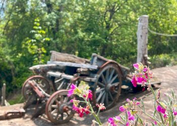 Giardino - Rustic Borgata Valtortagna, 4, Mombarcaro - photo 40