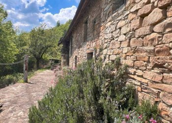 Terreno - Rustico Borgata Valtortagna, 4, Mombarcaro - foto 41