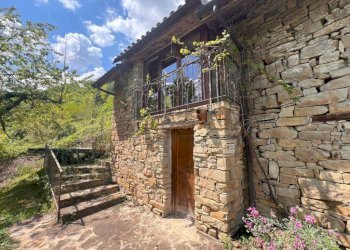 Terreno - Rustico Borgata Valtortagna, 4, Mombarcaro - foto 42