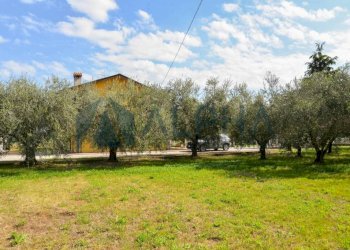 Terreno - Casa indipendente via Guidi di Calisese, Cesena - foto 27