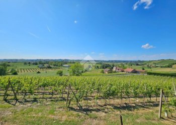 Casa indipendente Strada Alessandria, Nizza Monferrato - foto 7