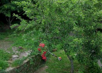 Appartamento Mulazzo - foto 15