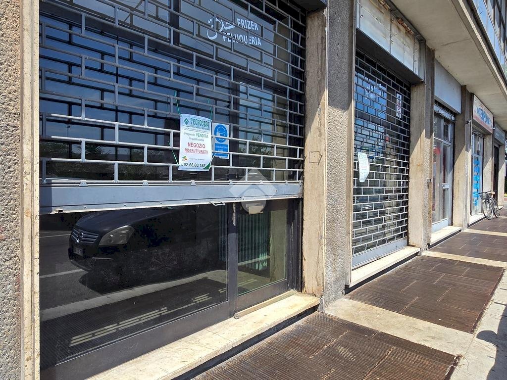 Appartamento Viale Romagna, Cinisello Balsamo - foto 1