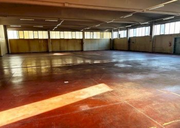 Capannone Reggio nell'Emilia - foto 2