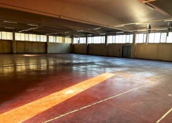 Capannone Reggio nell'Emilia - foto 4