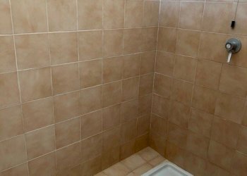 Capannone Reggio nell'Emilia - foto 11