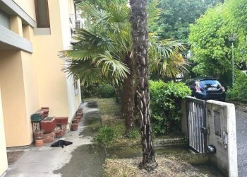 Villa Bifamiliare Massa Lombarda - foto 27