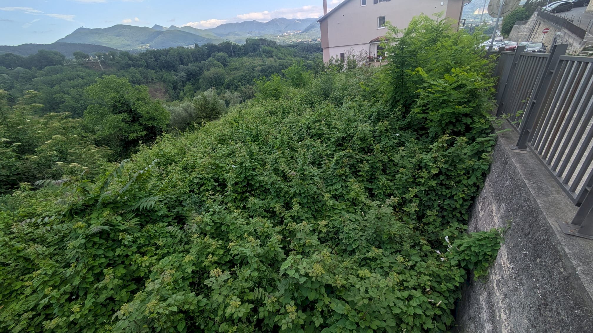 Agricultural land Via Roma, snc, Isernia - photo 3