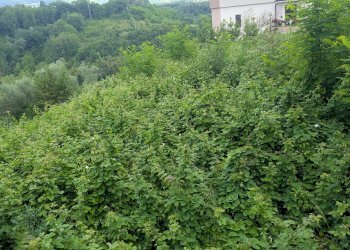Agricultural land Via Roma, snc, Isernia - photo 4