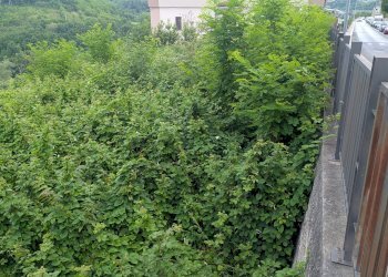 Agricultural land Via Roma, snc, Isernia - photo 5