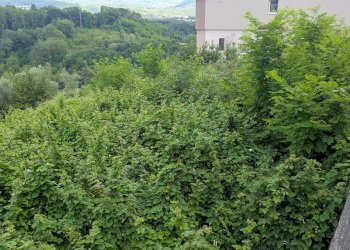 Agricultural land Via Roma, snc, Isernia - photo 6
