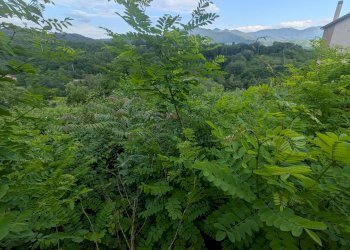 Agricultural land Via Roma, snc, Isernia - photo 9