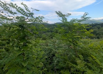 Agricultural land Via Roma, snc, Isernia - photo 10