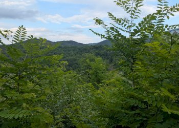 Agricultural land Via Roma, snc, Isernia - photo 12