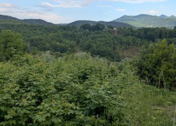 Agricultural land Via Roma, snc, Isernia - photo 13