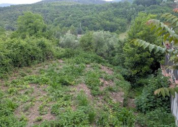 Agricultural land Via Roma, snc, Isernia - photo 15