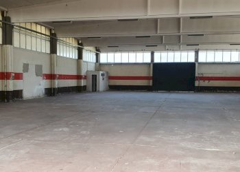 Foto 4 - Shed salino, Tortoreto - photo 4