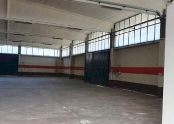 Foto 6 - Shed salino, Tortoreto - photo 6