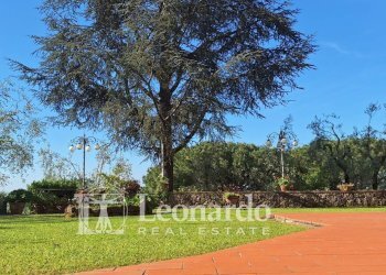 Foto 6 - Villa piano di mommio, Massarosa - foto 6