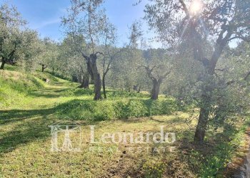 Foto 30 - Villa piano di mommio, Massarosa - foto 30