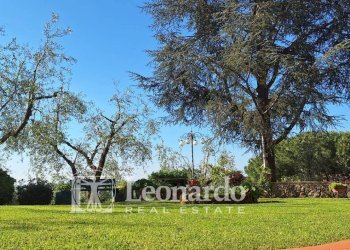 Foto 31 - Villa piano di mommio, Massarosa - foto 31