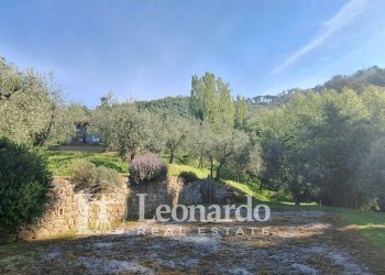 Foto 38 - Villa piano di mommio, Massarosa - foto 38