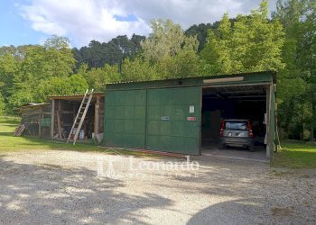 Foto 52 - Villa Corte Rodeschi, Camaiore - foto 52