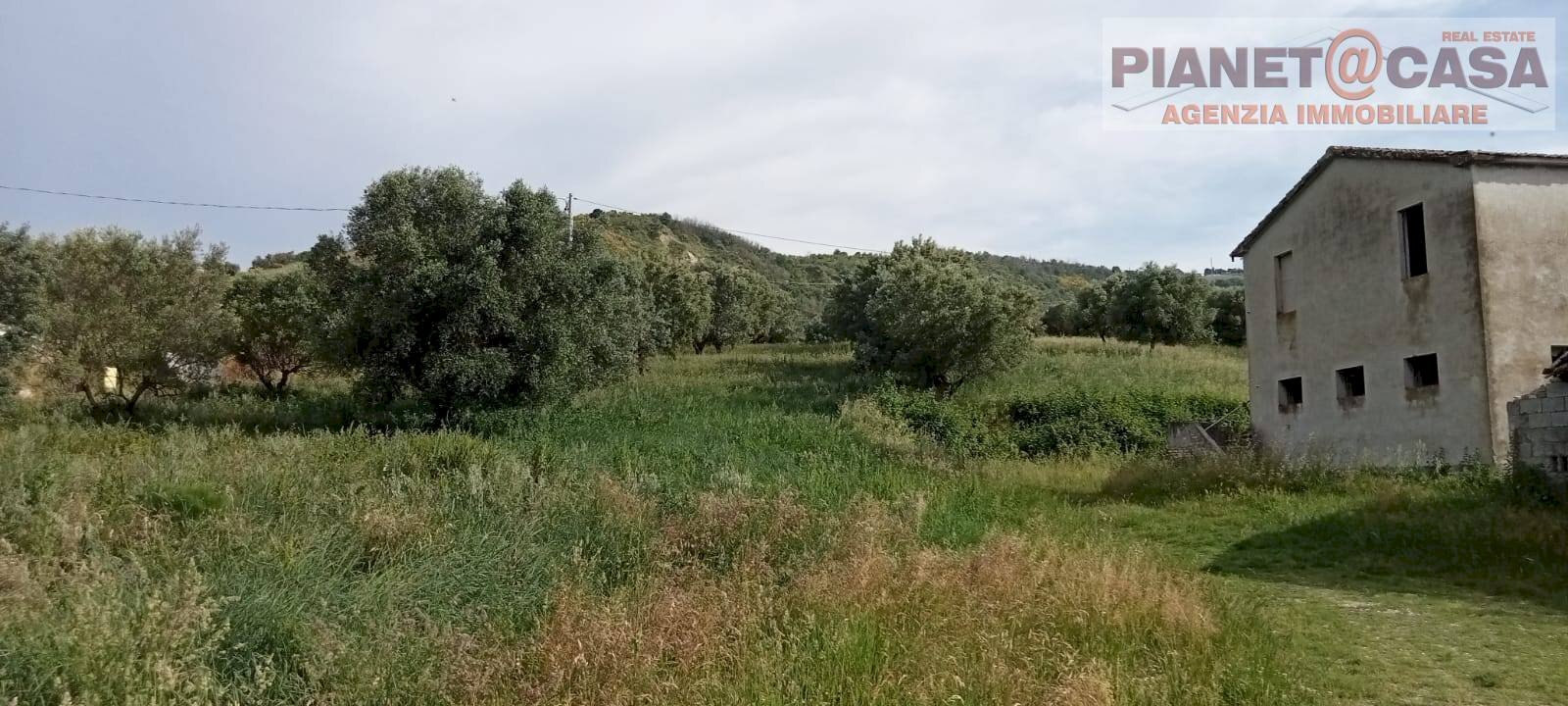 Foto 2 - Casa indipendente Via Piane Tronto, Controguerra - foto 2