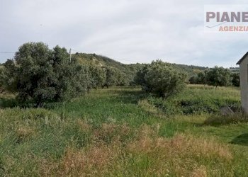 Foto 2 - Casa indipendente Via Piane Tronto, Controguerra - foto 2