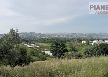 Foto 4 - Casa indipendente Via Piane Tronto, Controguerra - foto 4