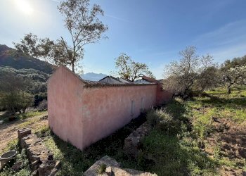 Foto 6 - Rustico Viddalba - foto 6