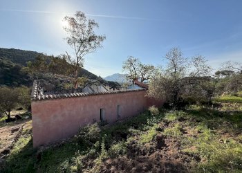 Foto 7 - Rustico Viddalba - foto 7