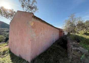 Foto 8 - Rustico Viddalba - foto 8