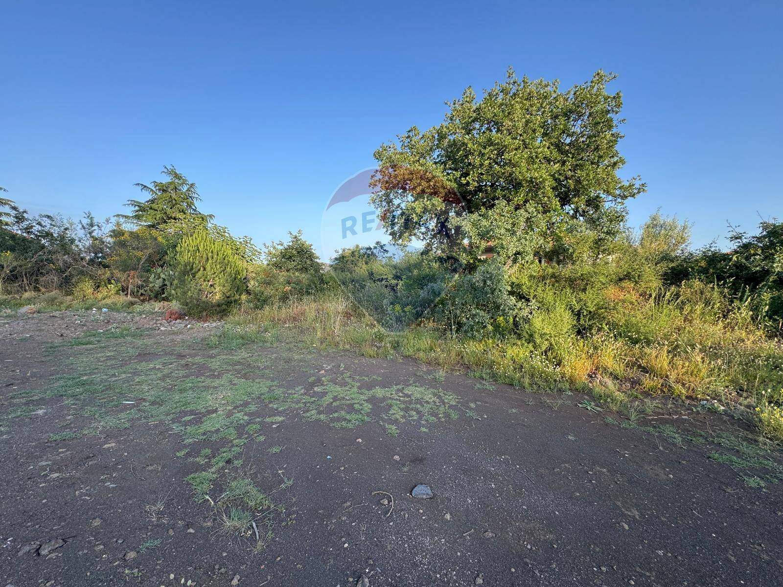 Giardino - Agricultural land contrada gonnella, Mascalucia - photo 3