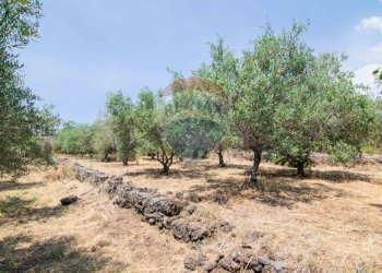 Giardino - Terreno edificabile Via Trigona, San Giovanni la Punta - foto 32