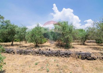 Giardino - Terreno edificabile Via Trigona, San Giovanni la Punta - foto 33