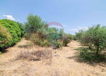 Giardino - Terreno edificabile Via Trigona, San Giovanni la Punta - foto 34